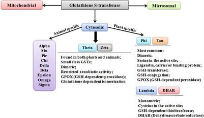 Glutathione S-Transferases: Role in Combating Abiotic Stresses Including Arsenic Detoxification in Plants